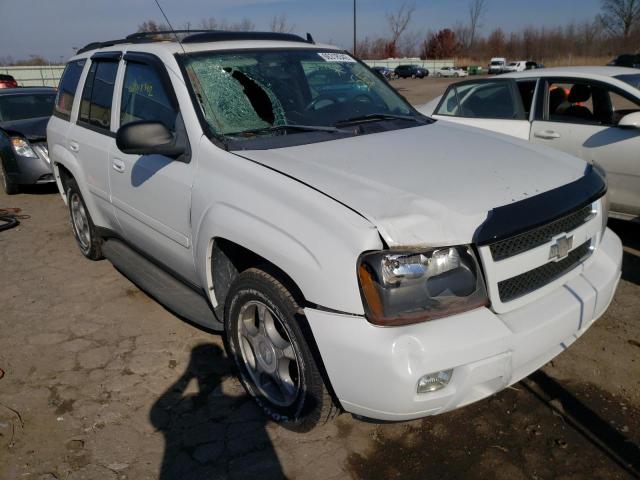 Photo 1 from auction – 2008 CHEVROLET TRAILBLAZE with VIN 1GNDS13S282226904