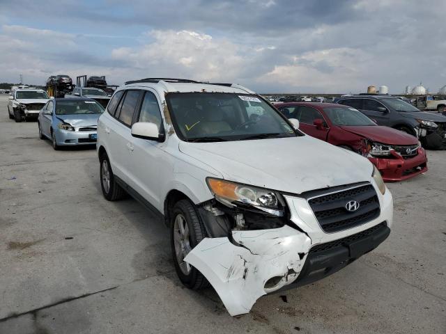 HYUNDAI SANTA FE S 2009 with VIN 5NMSH13E29H257138 - Photo from auction
