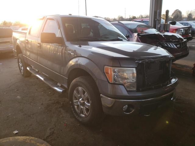 FORD F150 SUPER 2010 with VIN 1FTEW1E83AFA59793 - Photo from auction
