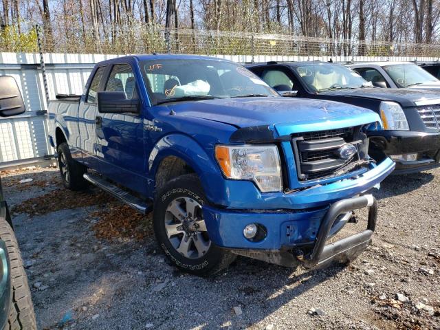 FORD F150 SUPER 2013 with VIN 1FTFX1EFXDFB35904 - Photo from auction