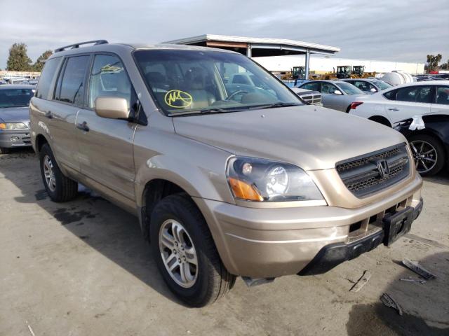HONDA PILOT EXL 2004 with VIN 2HKYF18614H517378 - Photo from auction