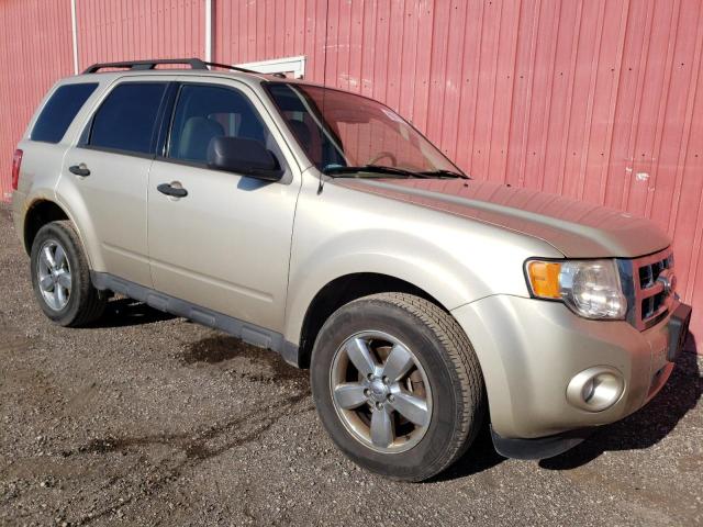 FORD ESCAPE XLT 2012 with VIN 1FMCU0D75CKA53032 - Photo from auction