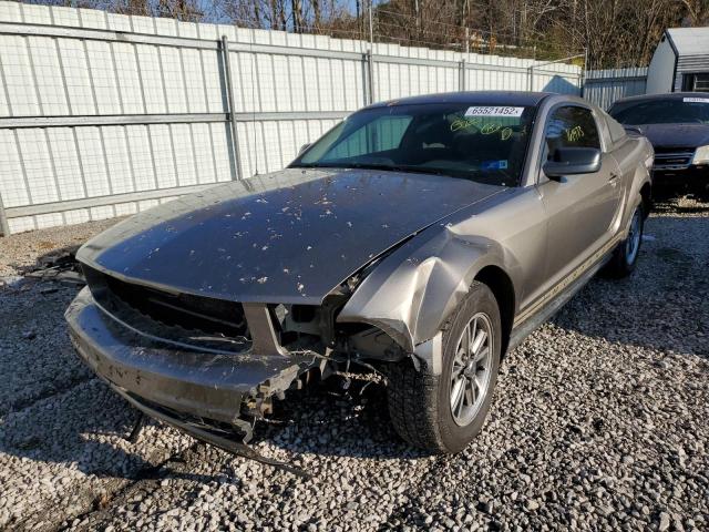 Photo 2 from auction – 2005 FORD MUSTANG with VIN 1ZVFT80N555253141