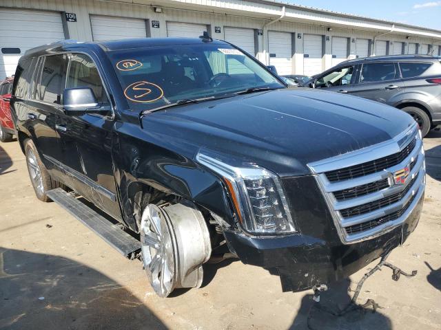 CADILLAC ESCALADE P 2019 with VIN 1GYS4CKJ6KR233393 - Photo from auction