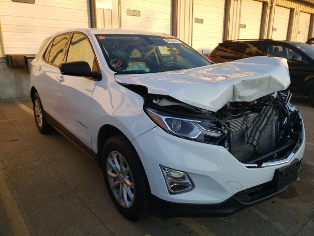 CHEVROLET EQUINOX LS 2019 with VIN 2GNAXHEV4K6213439 - Photo from auction