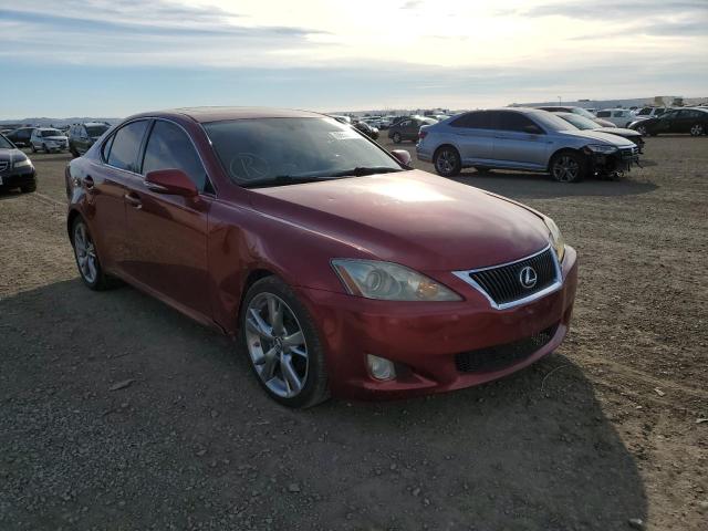LEXUS IS 250 2010 with VIN JTHBF5C28A2095171 - Photo from auction