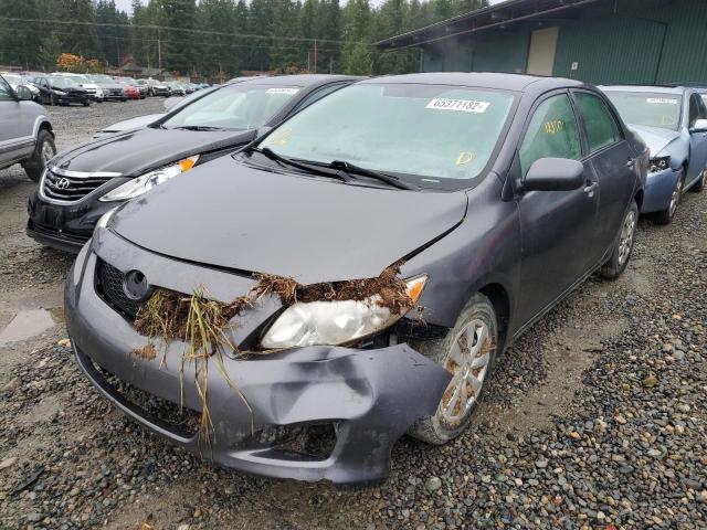 Photo 2 from auction – 2009 TOYOTA COROLLA BA with VIN JTDBL40E499073335