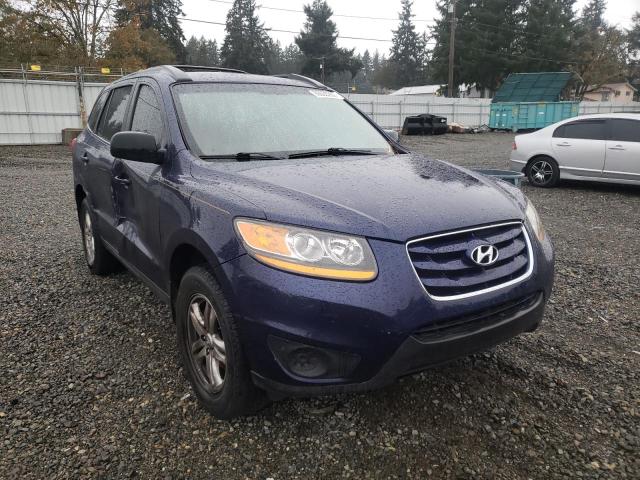 HYUNDAI SANTA FE G 2010 with VIN 5NMSGDAB3AH410031 - Photo from auction