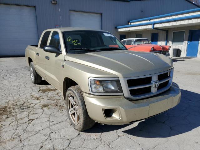 DODGE DAKOTA SLT 2011 with VIN 1D7RW3GP5BS504745 - Photo from auction