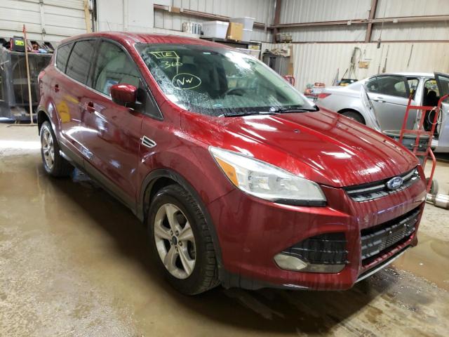 Photo 1 from auction – 2014 FORD ESCAPE SE with VIN 1FMCU0GX8EUA44781