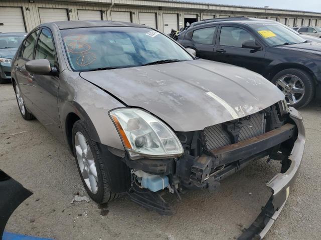 NISSAN MAXIMA SE 2006 with VIN 1N4BA41E16C810273 - Photo from auction