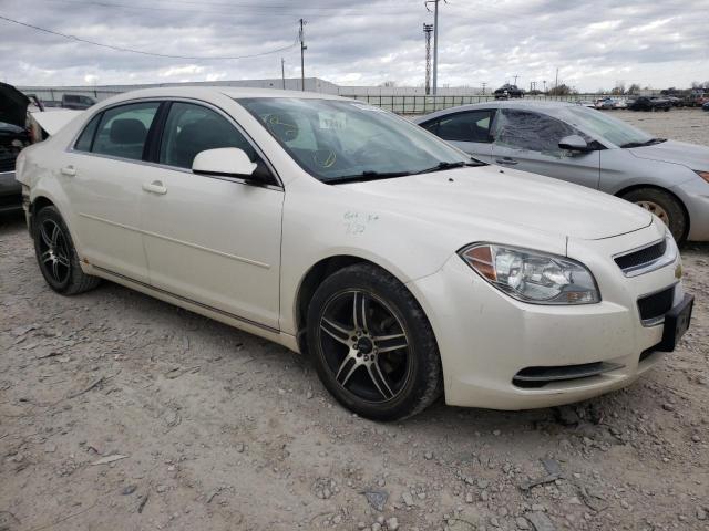 CHEVROLET MALIBU 1LT 2011 with VIN 1G1ZC5E13BF328101 - Photo from auction