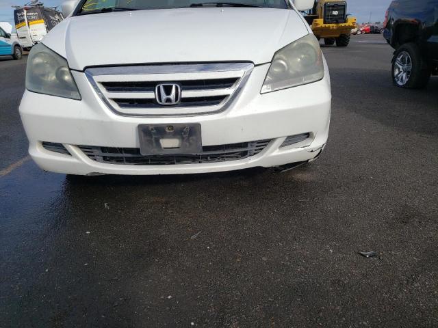 Photo 9 from auction – 2005 HONDA ODYSSEY EX with VIN 5FNRL38695B046945