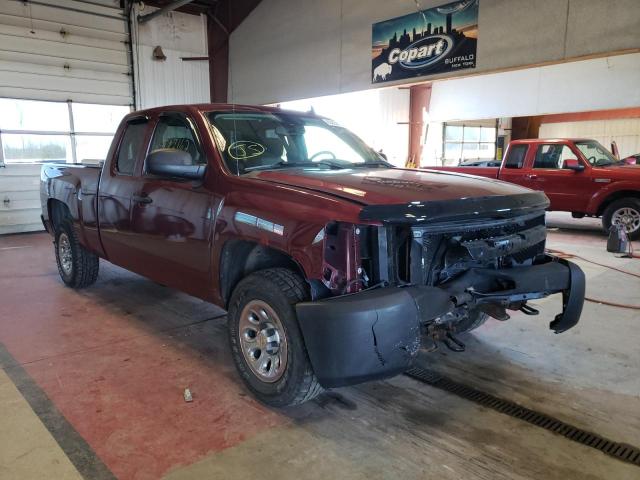 CHEVROLET SILVERADO 2009 with VIN 1GCEK19C69Z264058 - Photo from auction