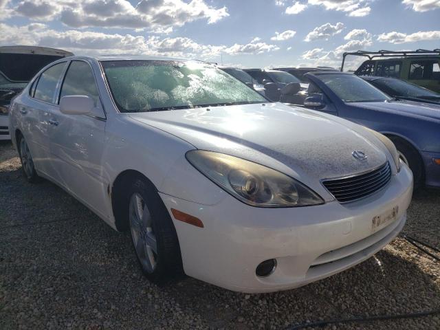 LEXUS ES 330 2005 with VIN JTHBA30G155066392 - Photo from auction