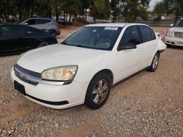 Photo 2 from auction – 2005 CHEVROLET MALIBU LS with VIN 1G1ZT54885F210208