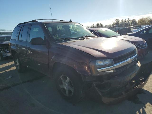 CHEVROLET TRAILBLAZE 2006 with VIN 1GNDT13S362226839 - Photo from auction