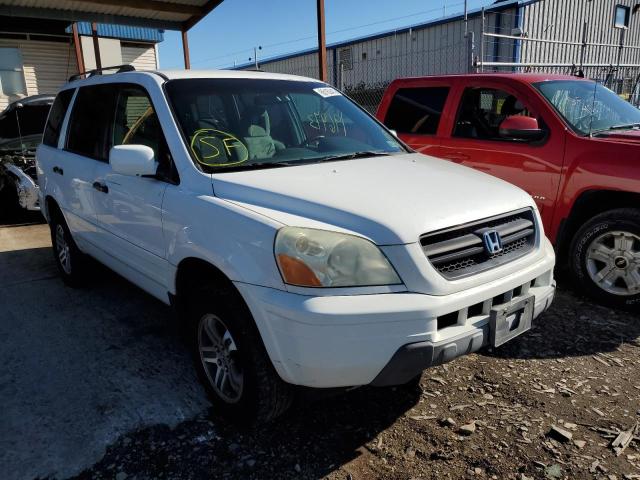 HONDA PILOT EX 2004 with VIN 2HKYF18424H564501 - Photo from auction