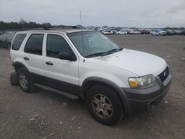 FORD ESCAPE XLT 2005 with VIN 1FMCU03105KB28882 - Photo from auction
