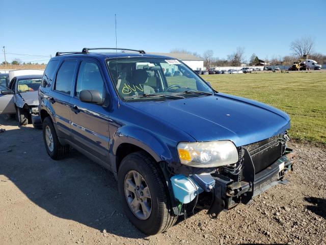 FORD ESCAPE XLT 2007 with VIN 1FMCU03197KA06007 - Photo from auction