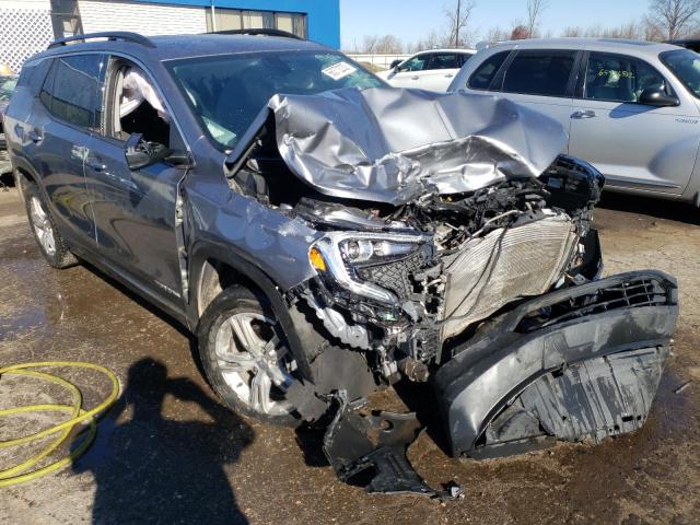 GMC TERRAIN SL 2019 with VIN 3GKALMEV7KL203646 - Photo from auction