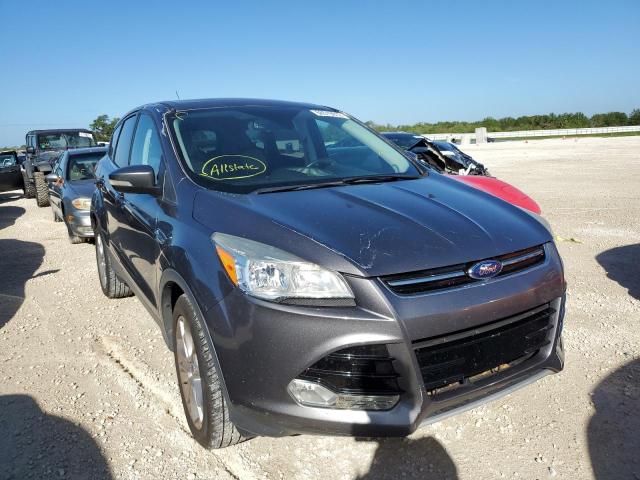 FORD ESCAPE SEL 2013 with VIN 1FMCU0H97DUD93106 - Photo from auction
