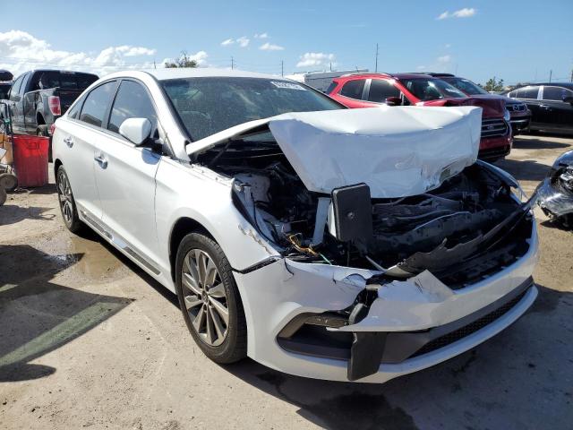 HYUNDAI SONATA SPO 2016 with VIN 5NPE34AF6GH426859 - Photo from auction