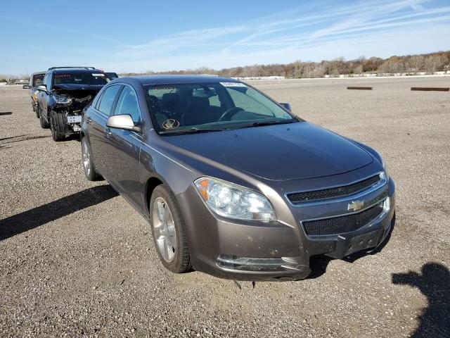 CHEVROLET MALIBU 2LT 2010 with VIN 1G1ZD5EB0AF305976 - Photo from auction