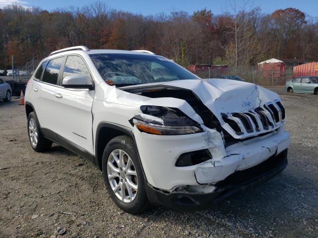 JEEP CHEROKEE L 2018 with VIN 1C4PJLLX7JD520003 - Photo from auction