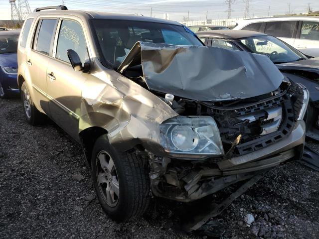 HONDA PILOT EXL 2010 with VIN 5FNYF4H51AB021595 - Photo from auction