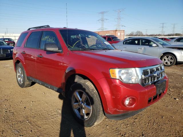 FORD ESCAPE XLT 2010 with VIN 1FMCU0DG5AKC49307 - Photo from auction