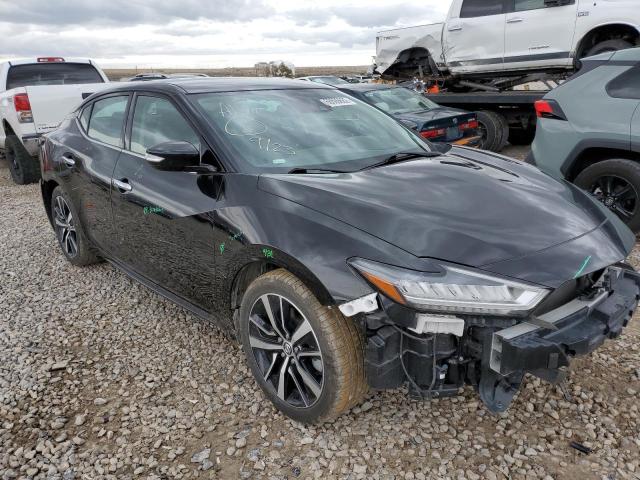 NISSAN MAXIMA SV 2021 with VIN 1N4AA6CV9MC503533 - Photo from auction