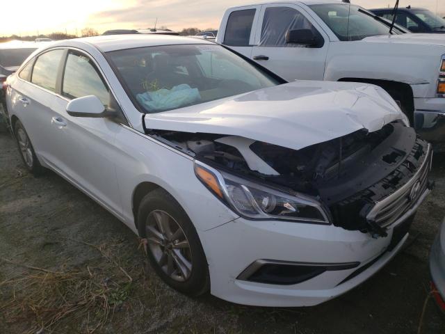 HYUNDAI SONATA SE 2016 with VIN 5NPE24AF4GH407245 - Photo from auction