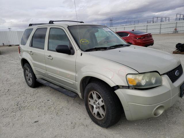 Photo 1 from auction – 2005 FORD ESCAPE LIM with VIN 1FMYU94135KA02458