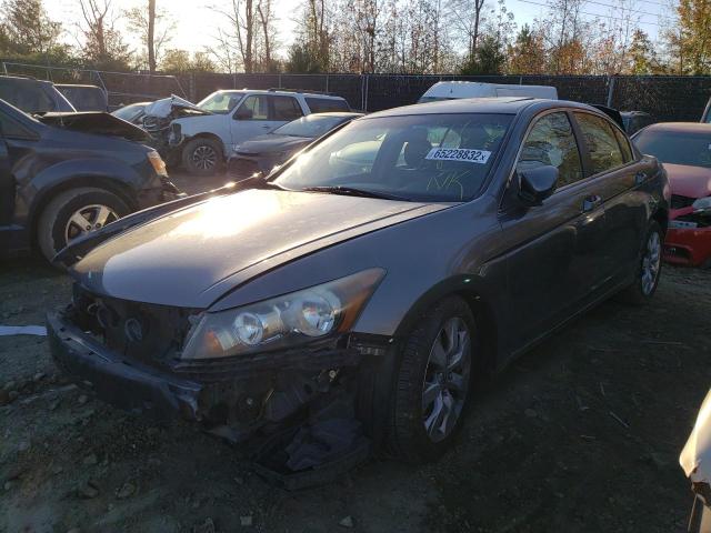 Photo 2 from auction – 2010 HONDA ACCORD EXL with VIN 1HGCP2F81AA130271