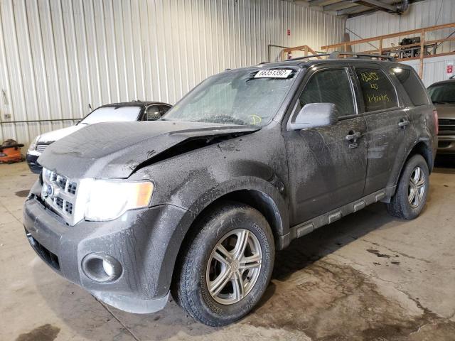 Photo 2 from auction – 2010 FORD ESCAPE XLT with VIN 1FMCU0D7XAKD03135