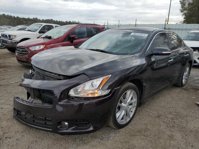 Photo 2 from auction – 2011 NISSAN MAXIMA S with VIN 1N4AA5AP9BC806131