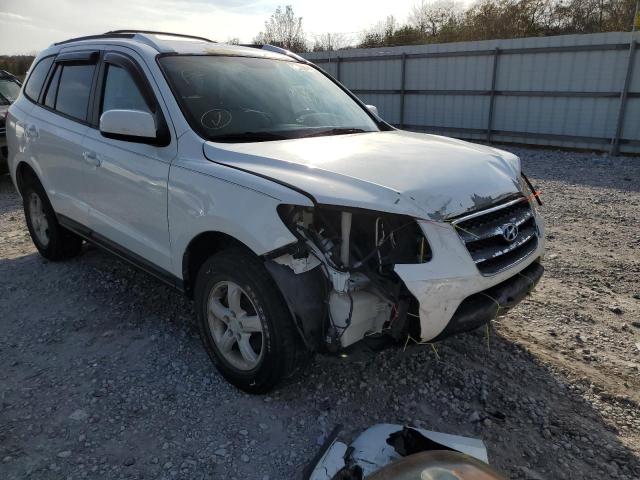 HYUNDAI SANTA FE G 2007 with VIN 5NMSG73D87H072246 - Photo from auction