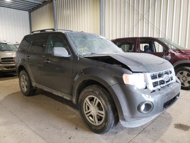 FORD ESCAPE XLT 2010 with VIN 1FMCU0D7XAKD03135 - Photo from auction
