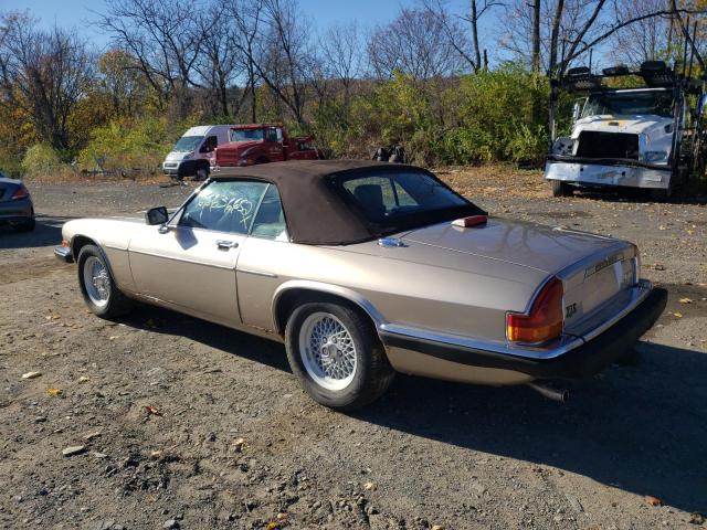 Photo 3 from auction – 1991 JAGUAR XJS CLASSI with VIN SAJTW4841MC178032