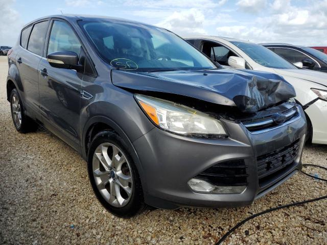 FORD ESCAPE SEL 2013 z numerem VIN 1FMCU0H98DUC79390 - Zdjęcie z aukcji