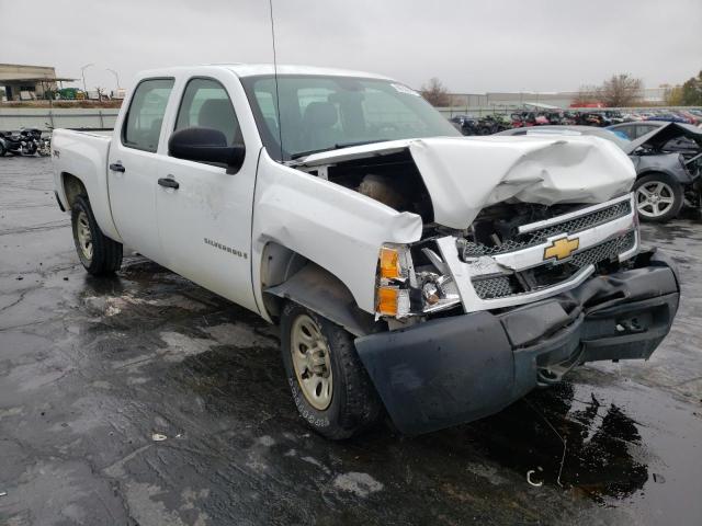 CHEVROLET silverado 2009 with VIN 2GCEK133391116483 - Photo from auction