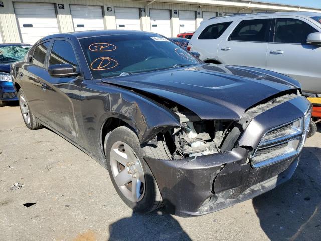 DODGE CHARGER PO 2014 with VIN 2C3CDXAG9EH248437 - Photo from auction