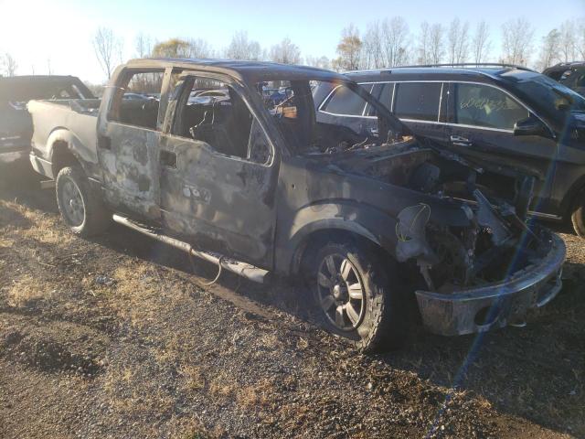 FORD F150 SUPER 2010 with VIN 1FTEW1E86AFA19000 - Photo from auction