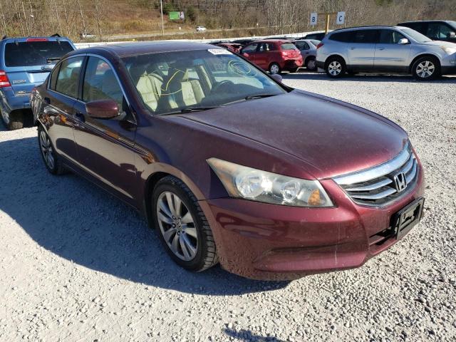 HONDA ACCORD EXL 2011 with VIN 1HGCP2F85BA050988 - Photo from auction