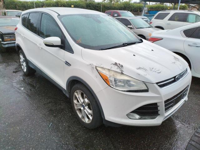 FORD ESCAPE SEL 2013 with VIN 1FMCU0HX5DUC36141 - Photo from auction