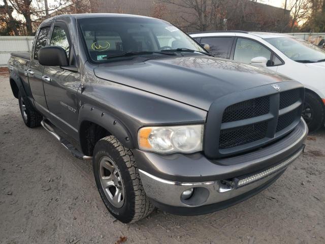 DODGE RAM 1500 S 2004 with VIN 1D7HA18N44S540781 - Photo from auction