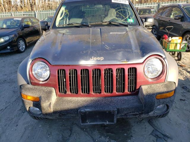 Photo 9 from auction – 2002 JEEP LIBERTY SP with VIN 1J4GL48K12W222253