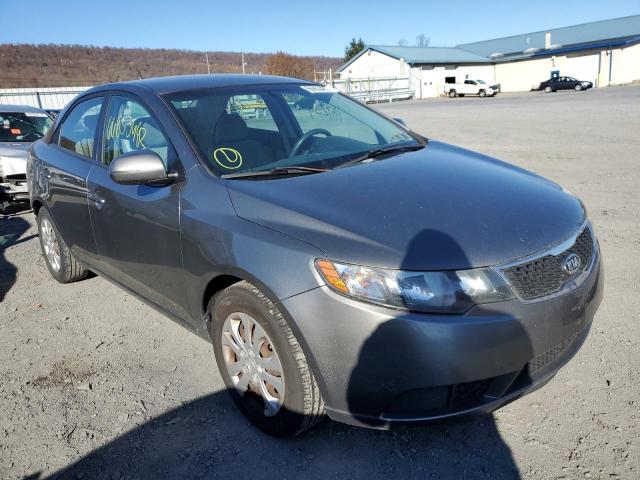 KIA FORTE EX 2011 with VIN KNAFU4A22B5356958 - Photo from auction