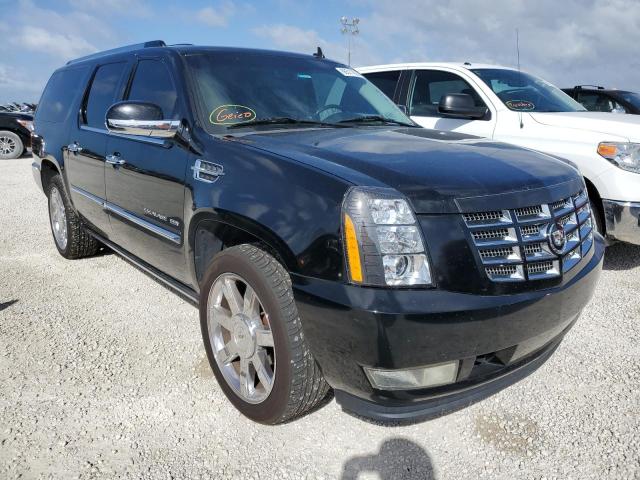 CADILLAC ESCALADE E 2010 with VIN 1GYUCJEF2AR137556 - Photo from auction